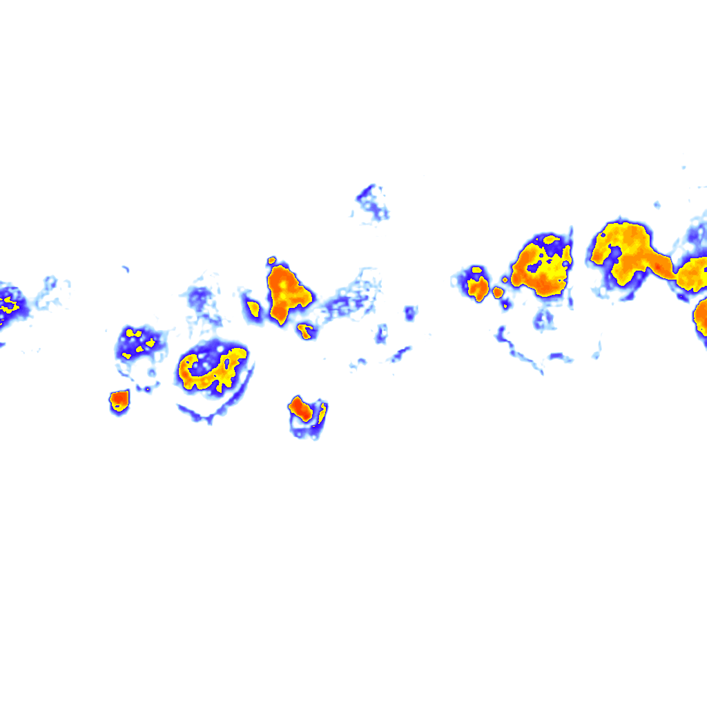 Image Layer