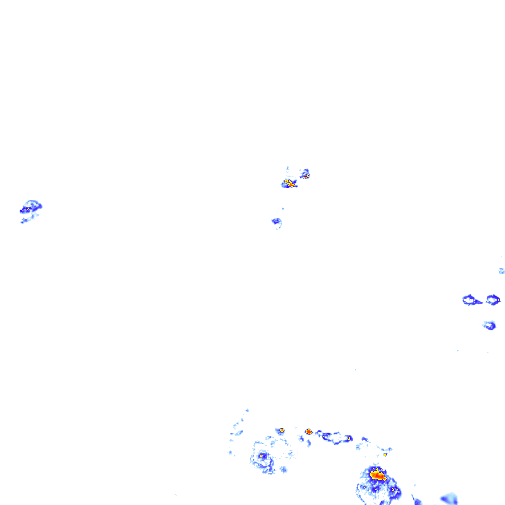 rainLayer