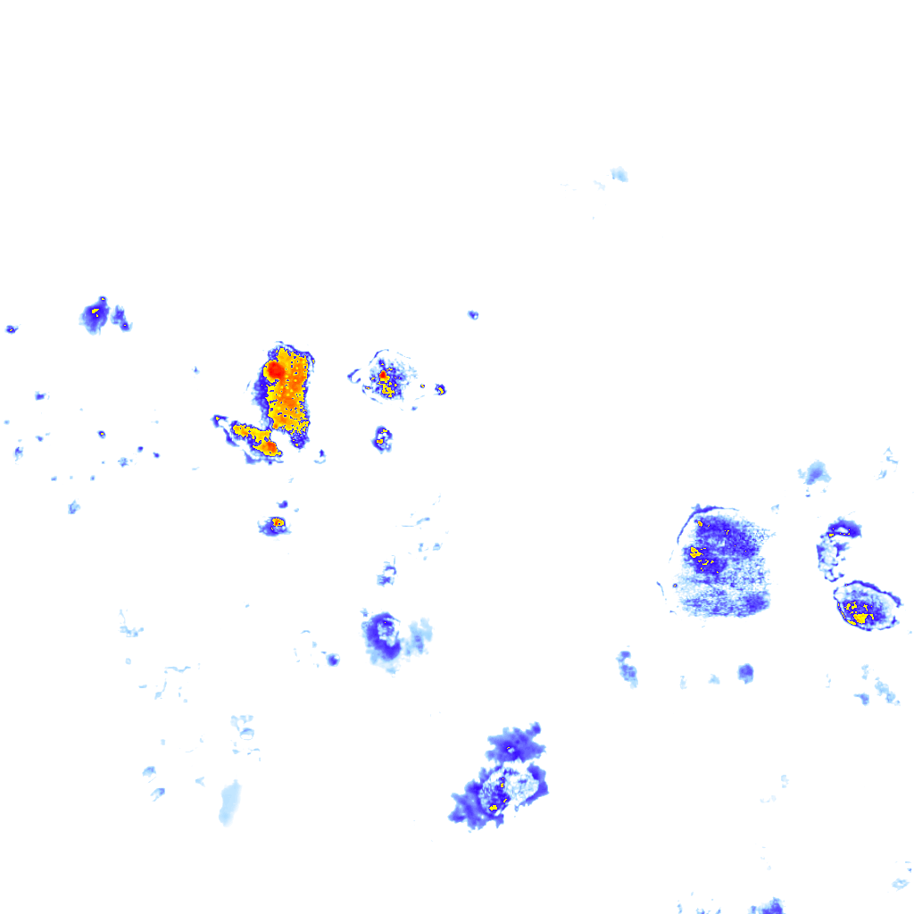 rainLayer