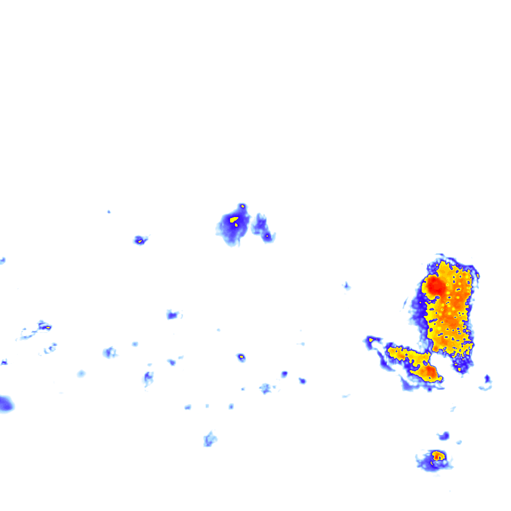 rainLayer