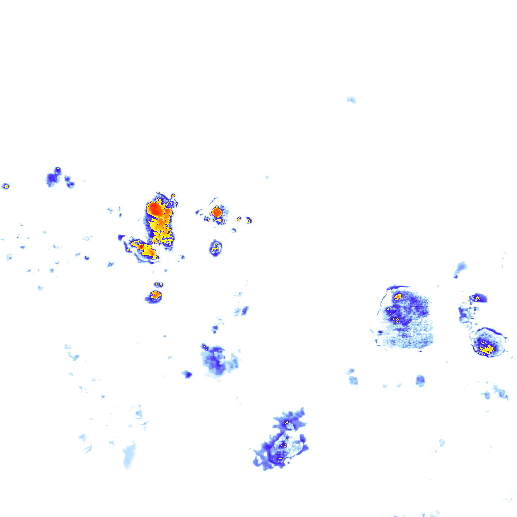 rainLayer