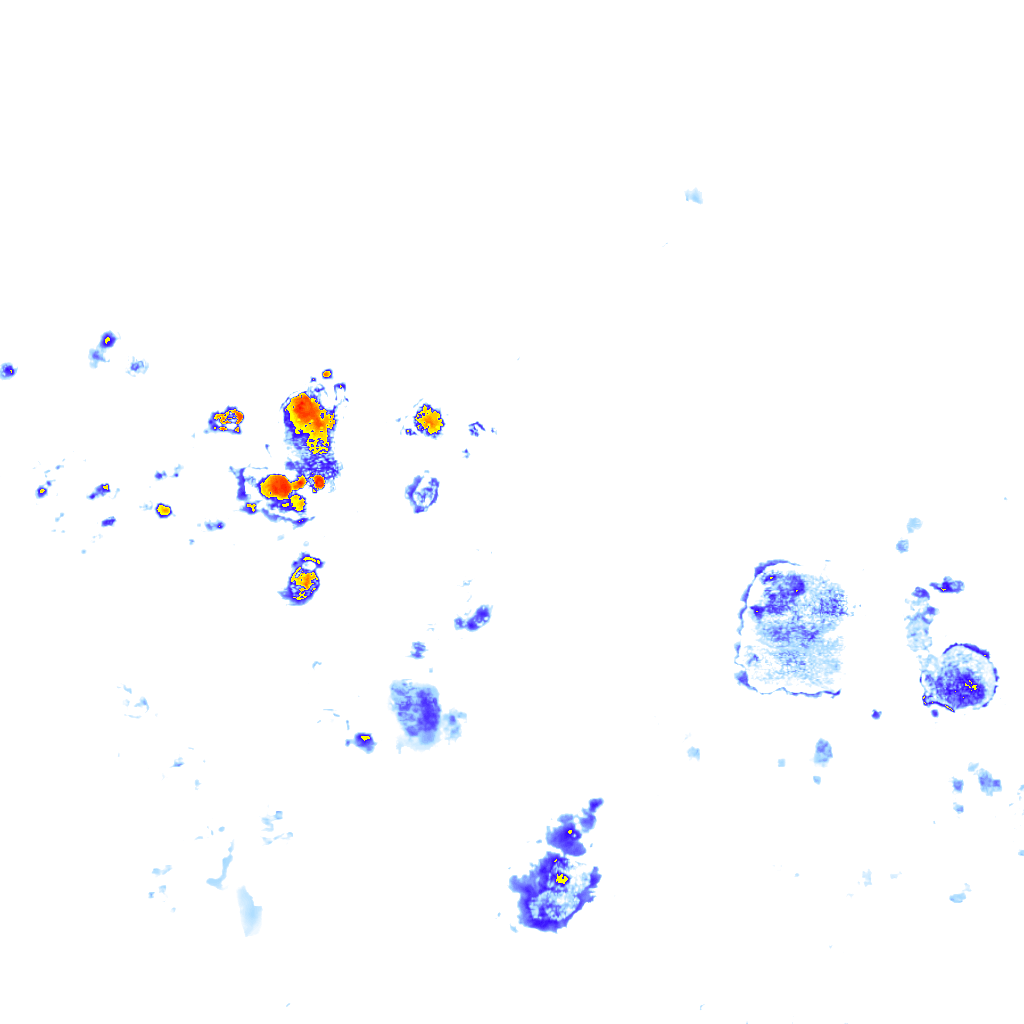 rainLayer