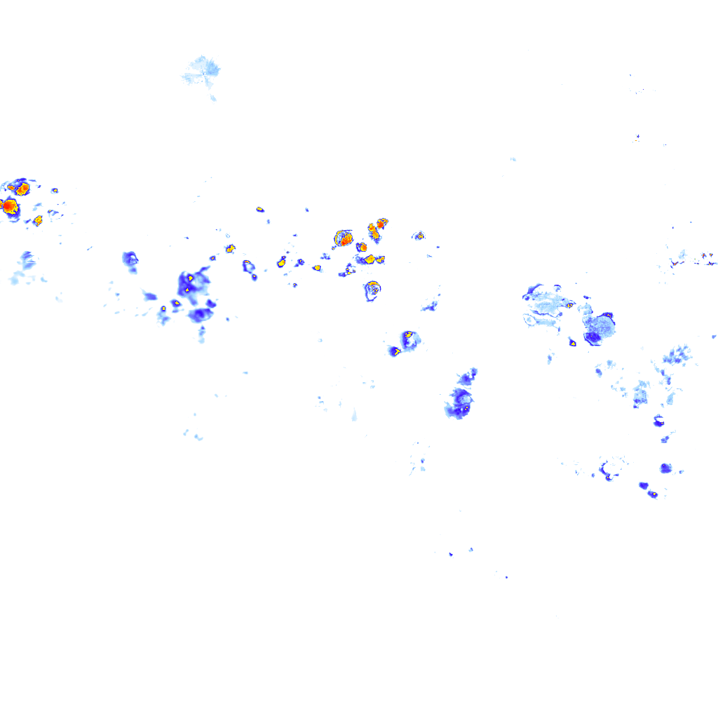 rainLayer