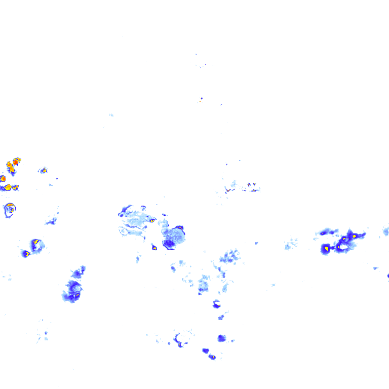 rainLayer