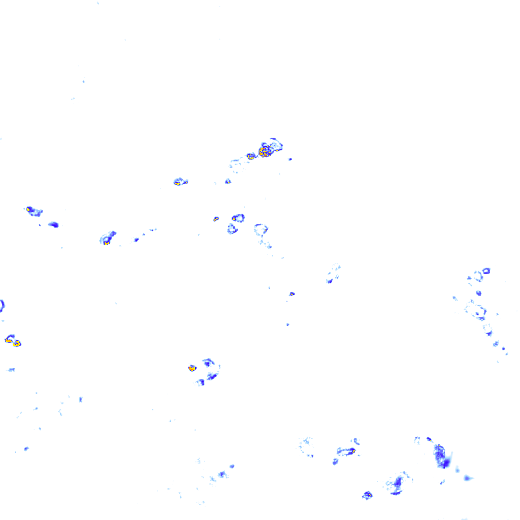 rainLayer