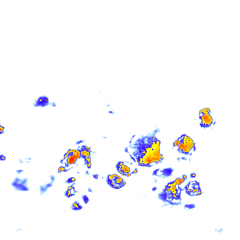 Image Layer