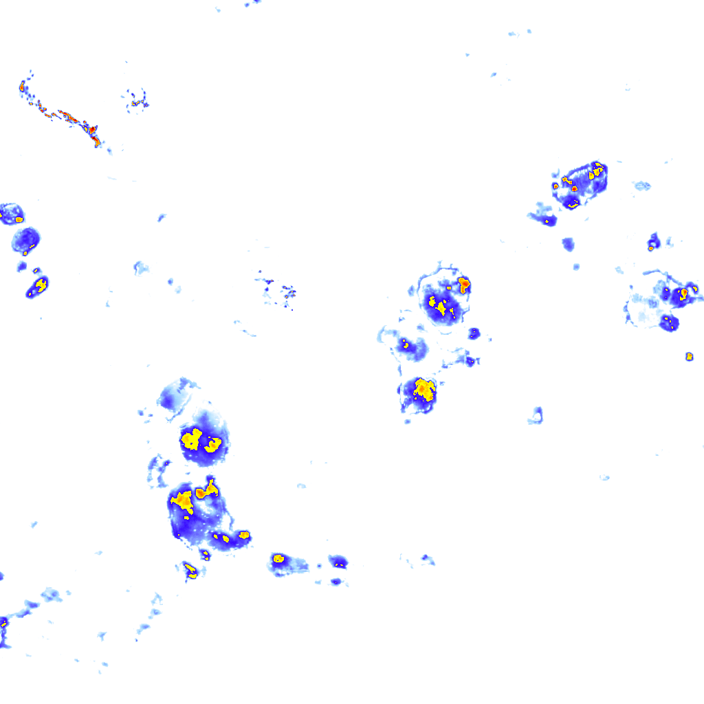 Image Layer