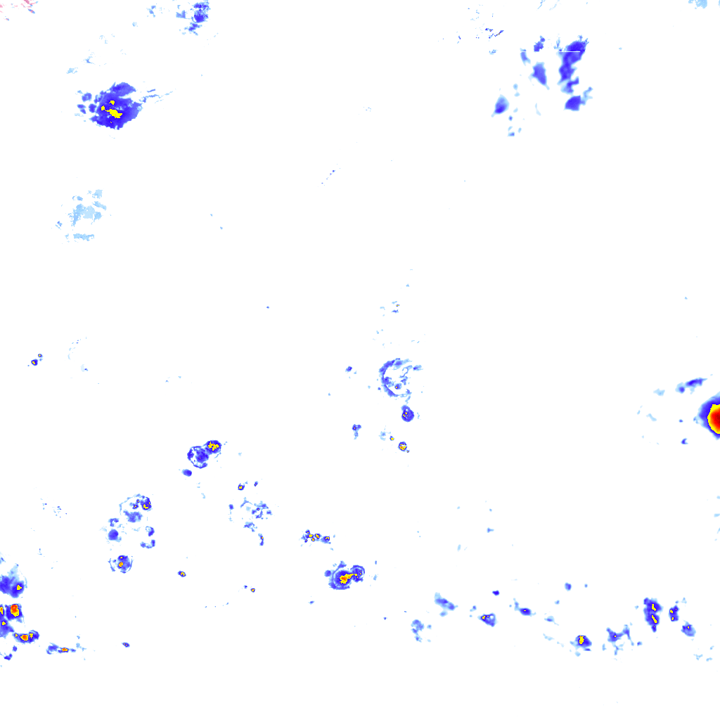 rainLayer