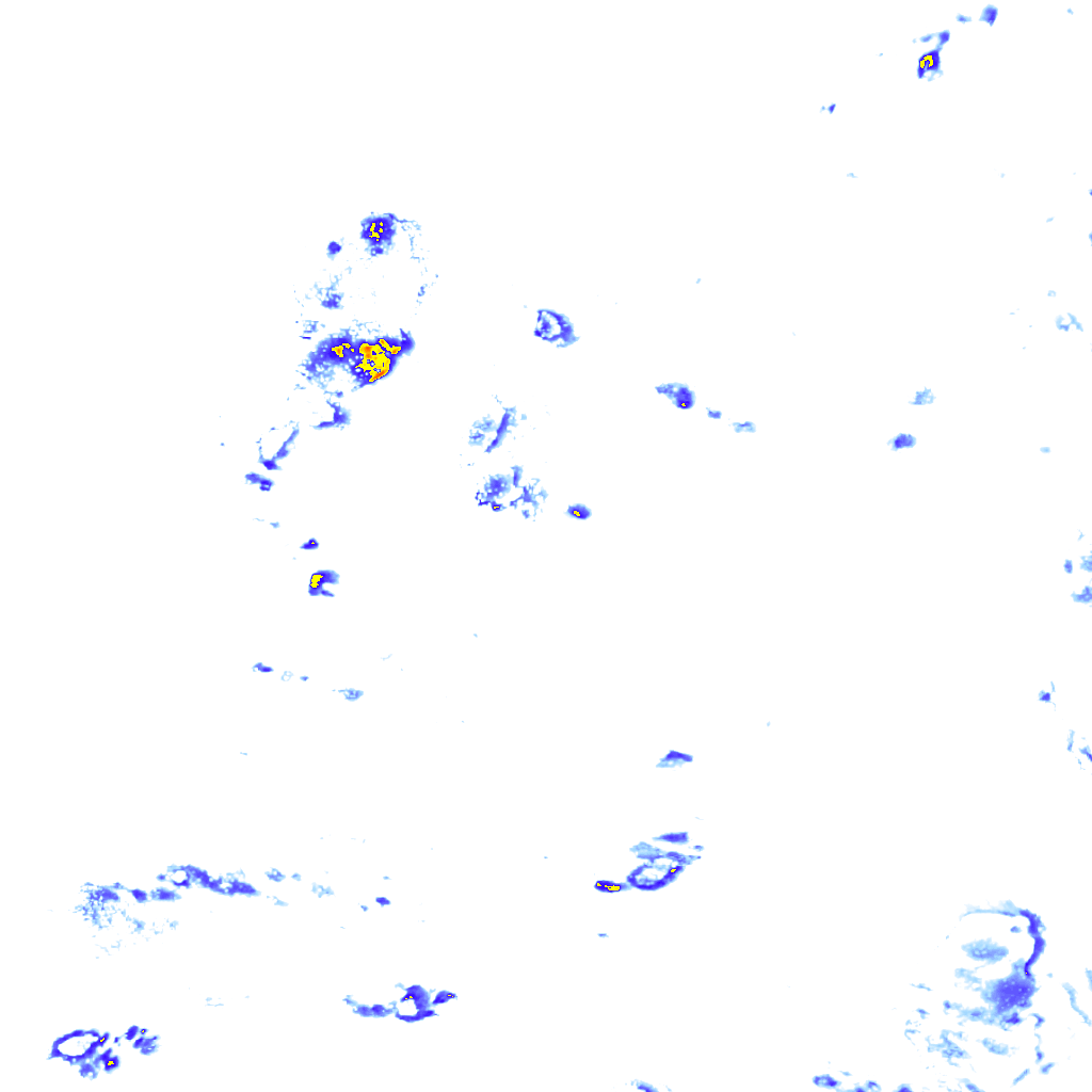 rainLayer
