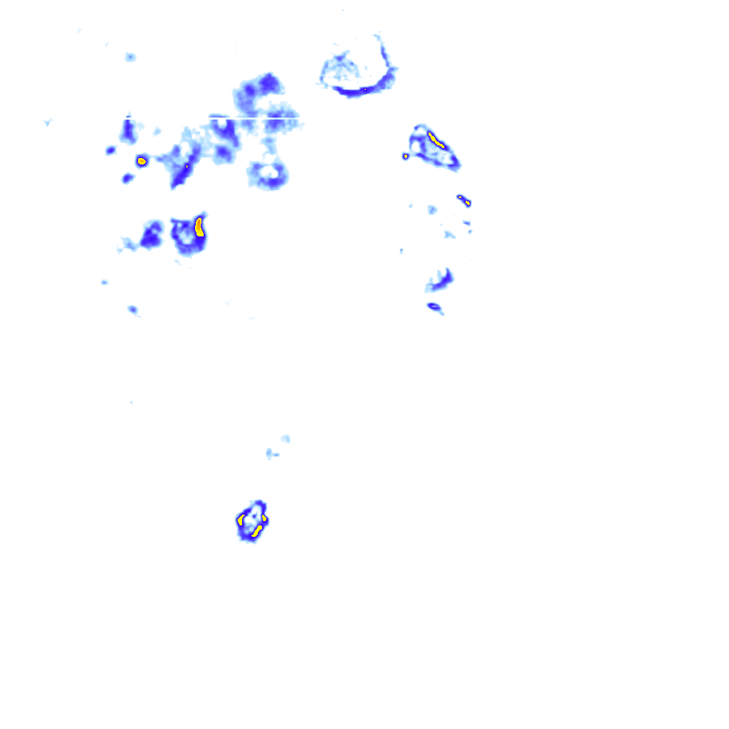 rainLayer