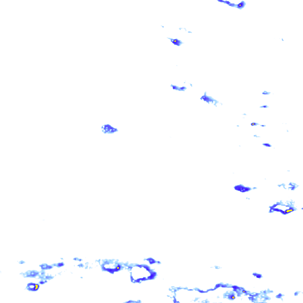 rainLayer