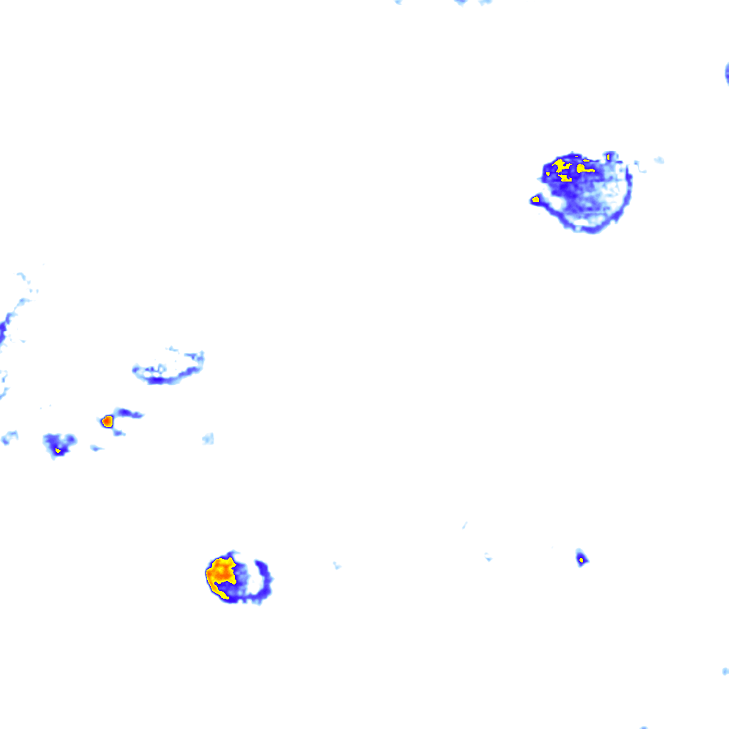 Image Layer