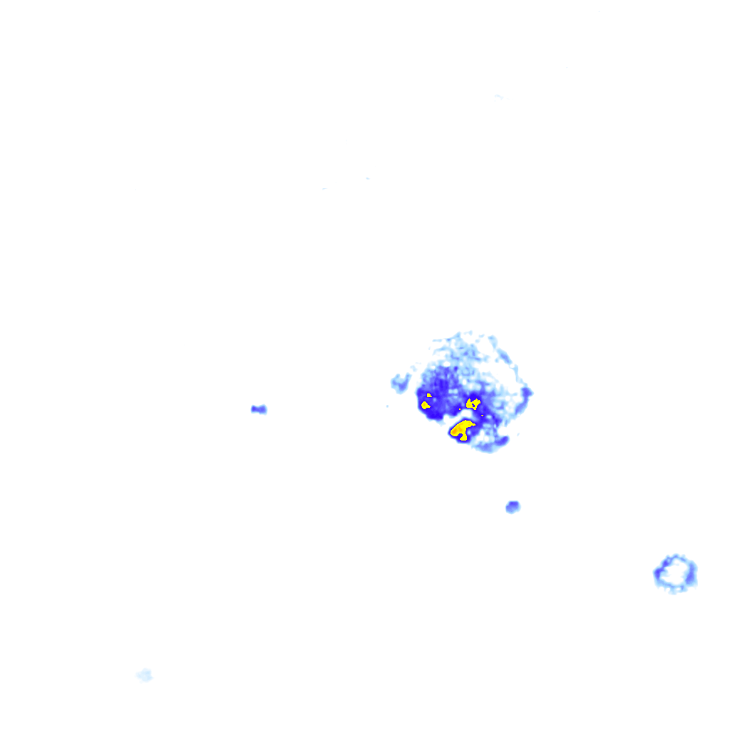 Image Layer