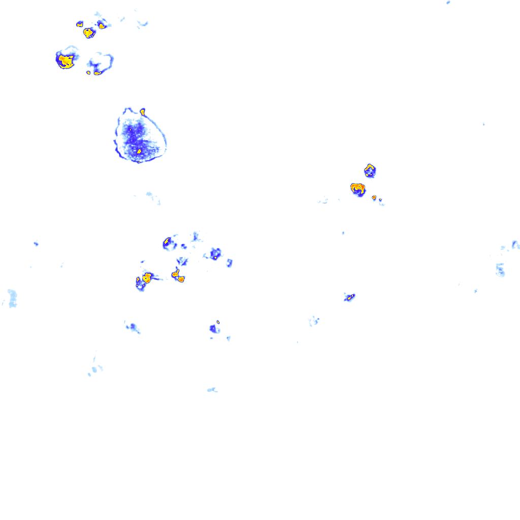 rainLayer