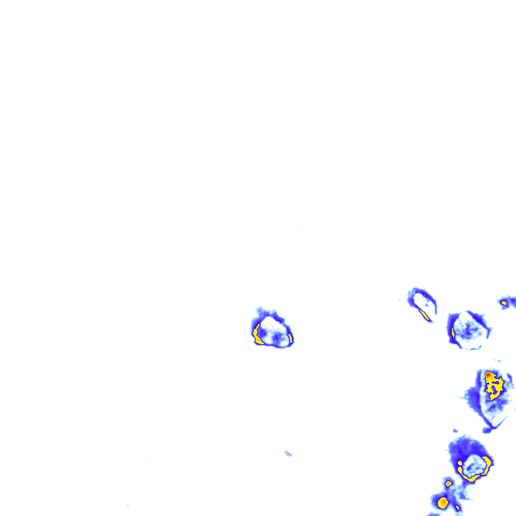 rainLayer