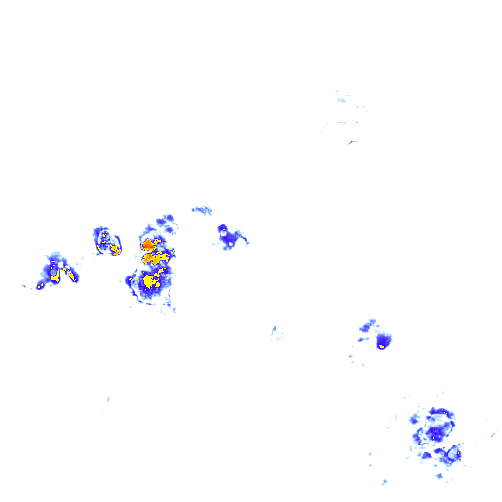 rainLayer
