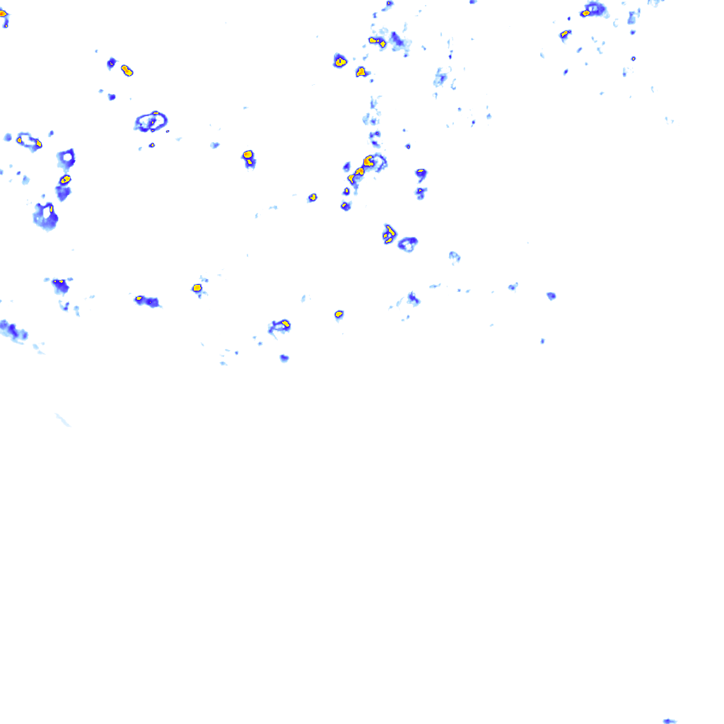 rainLayer
