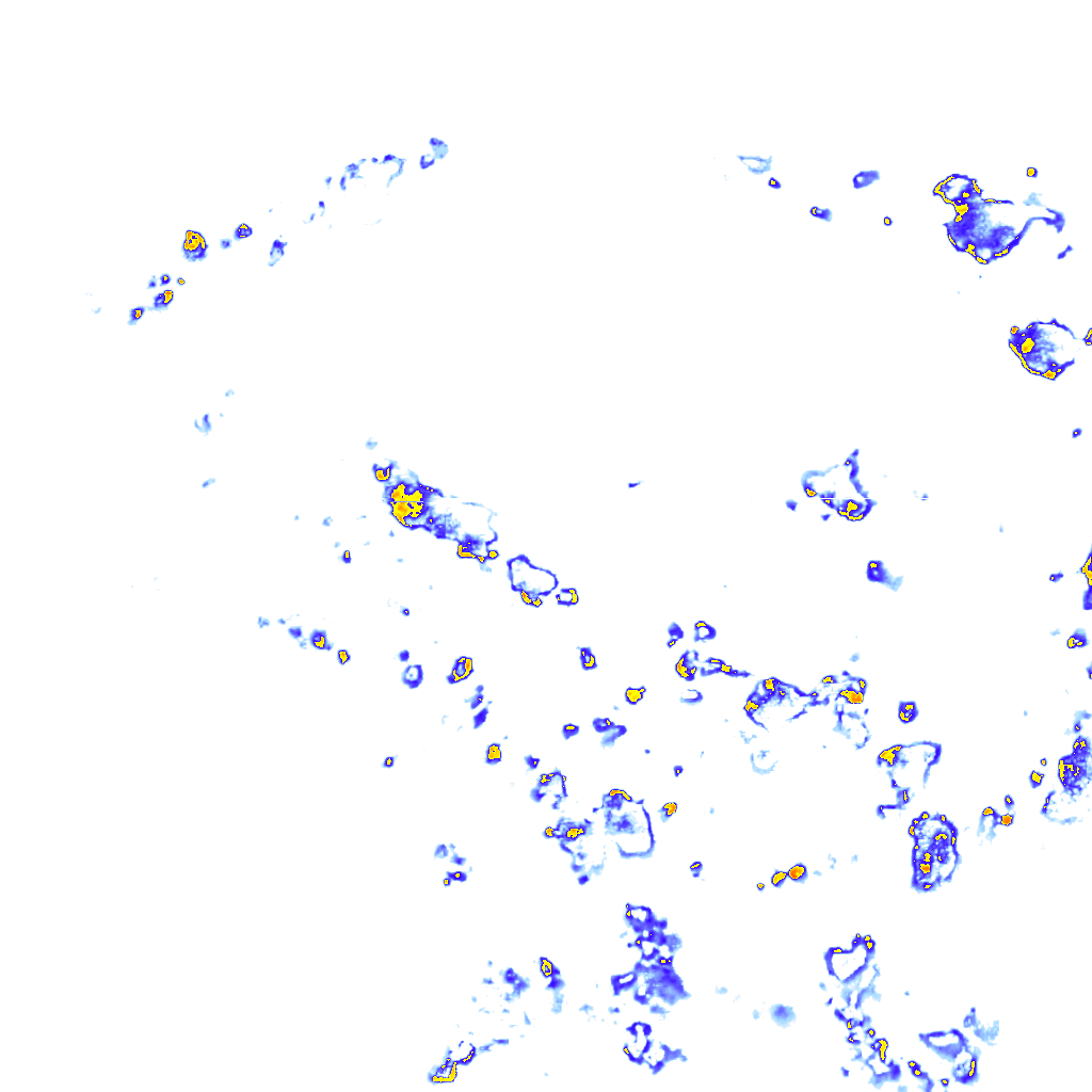 rainLayer