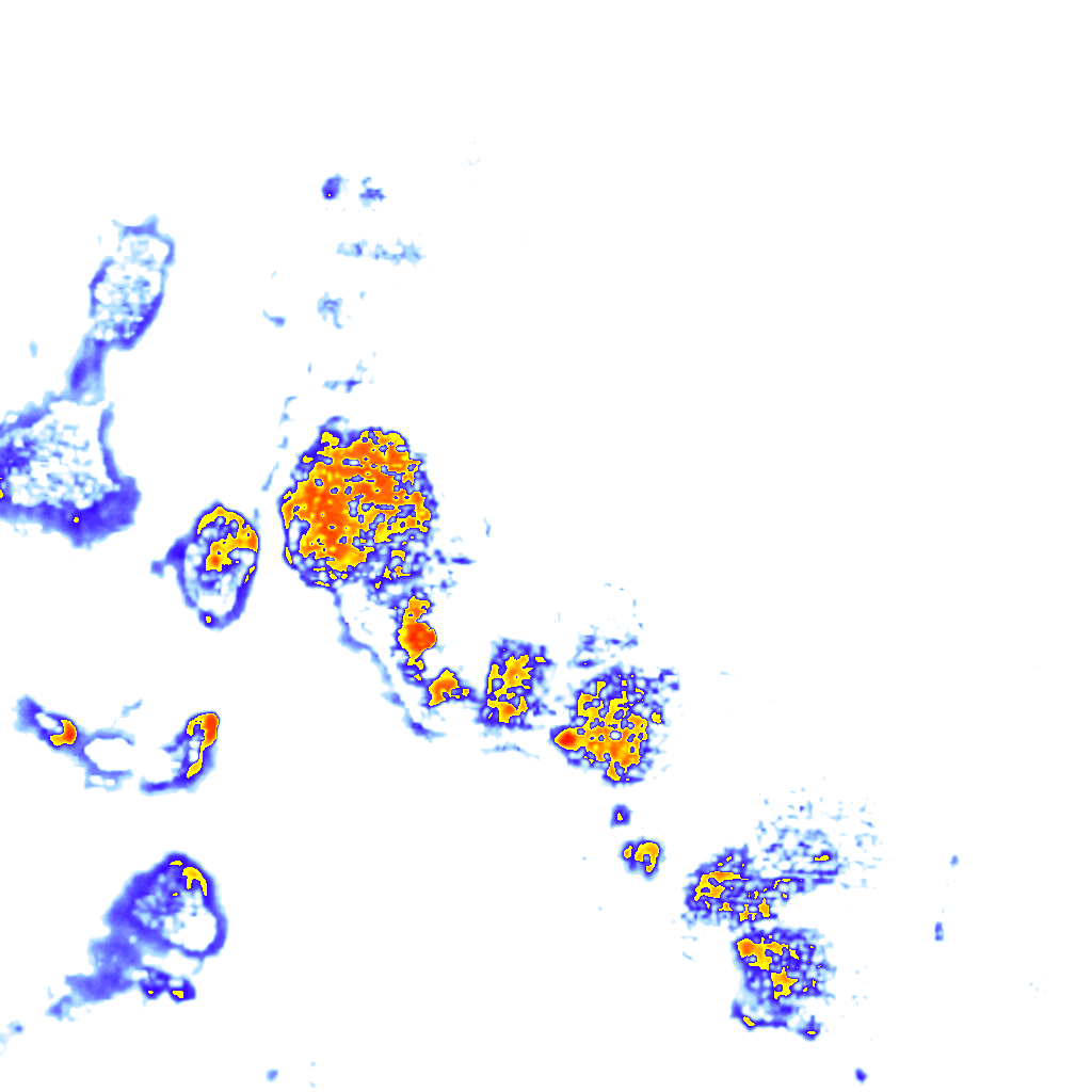 Image Layer