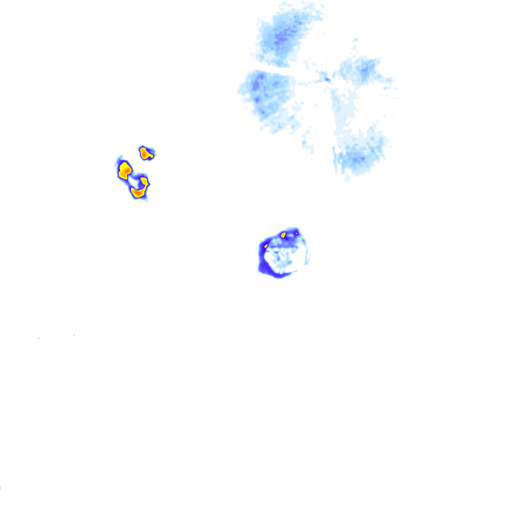 rainLayer