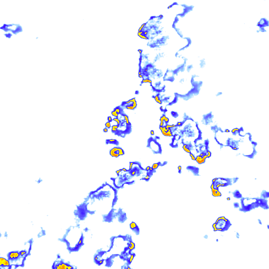 rainLayer