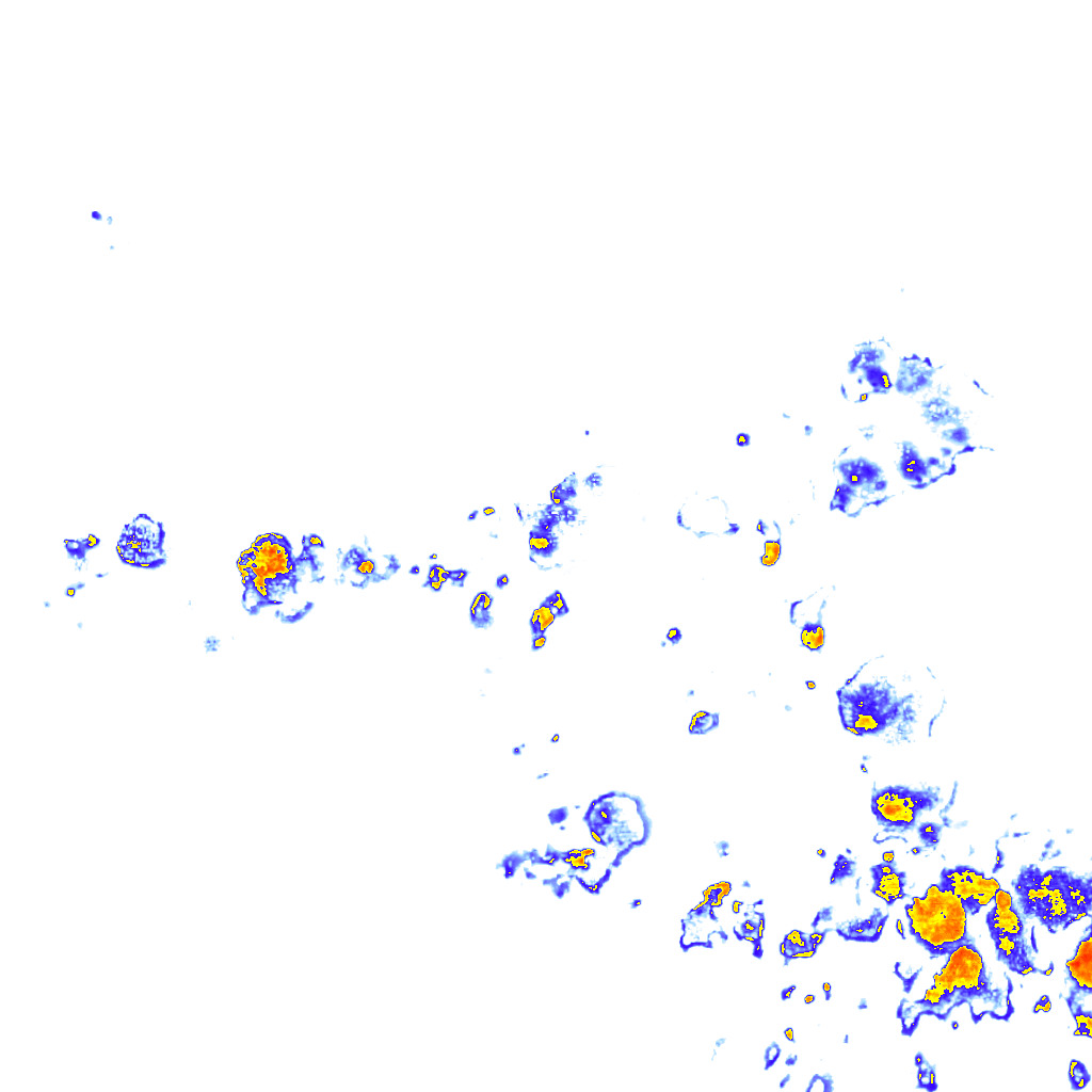 rainLayer