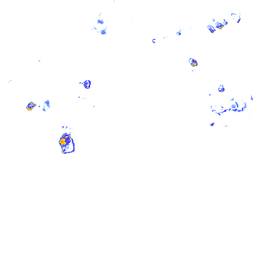 rainLayer