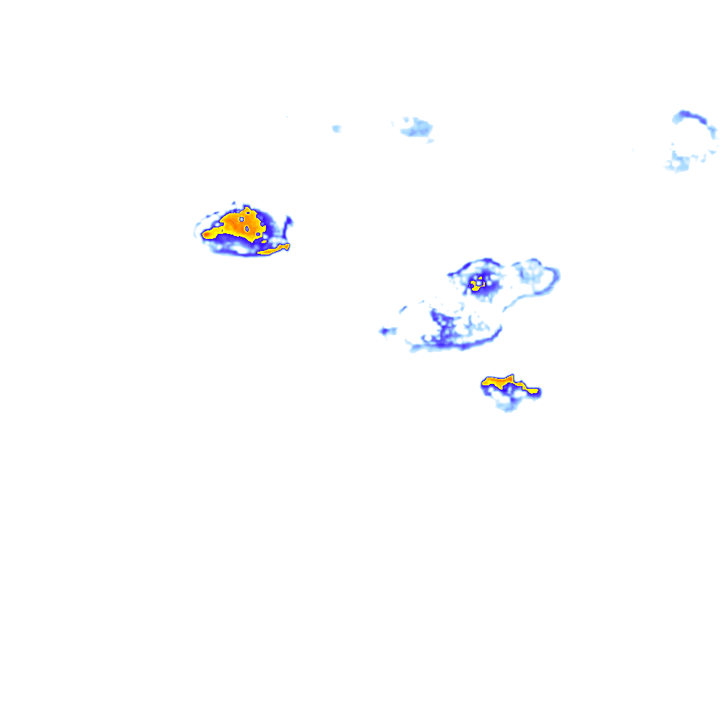 rainLayer
