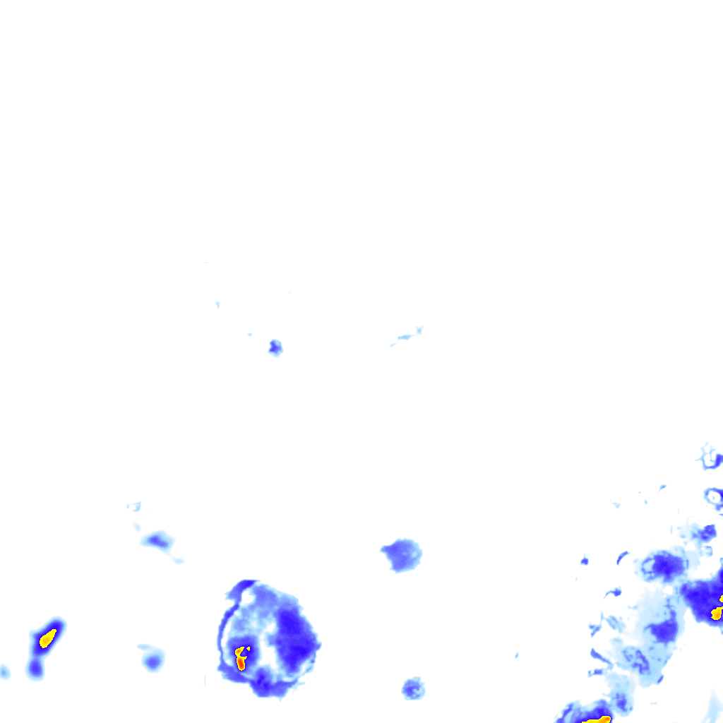 rainLayer