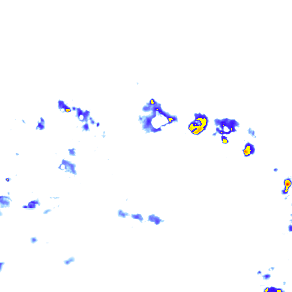 rainLayer