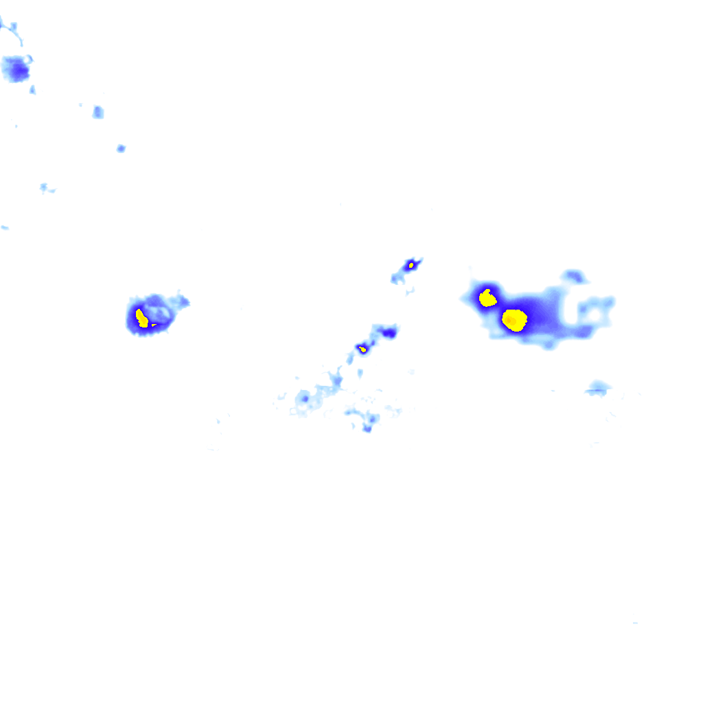 Image Layer