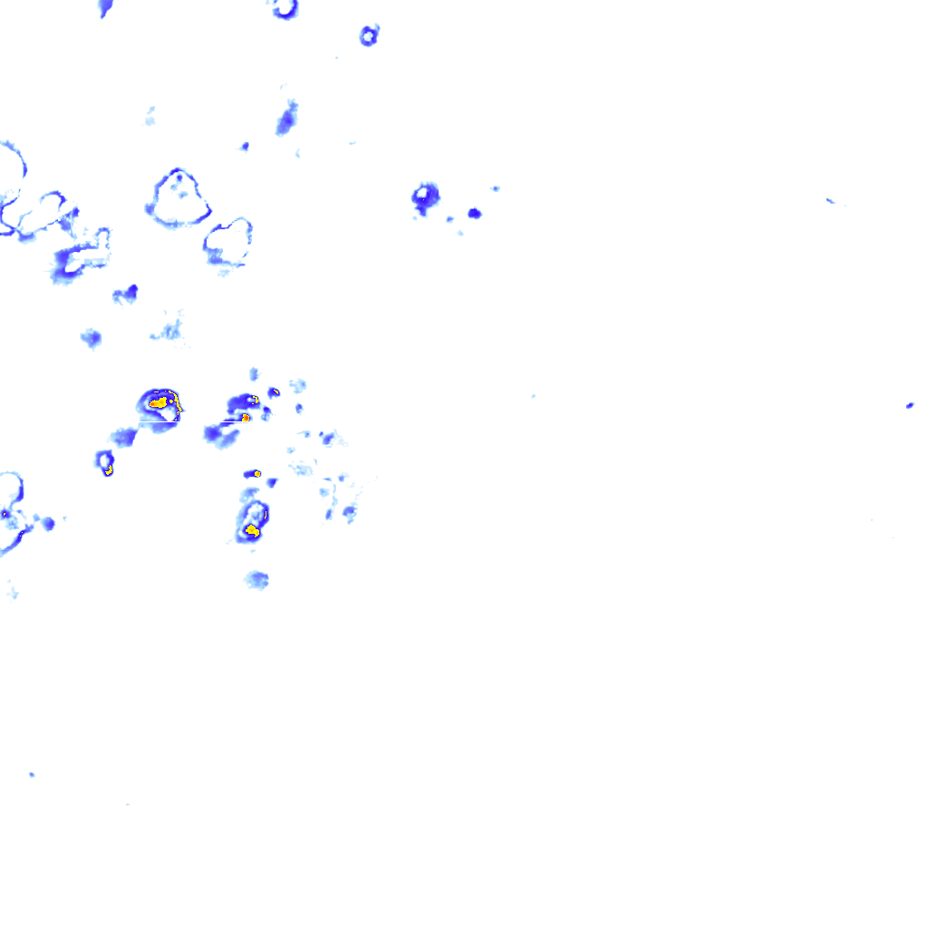 rainLayer