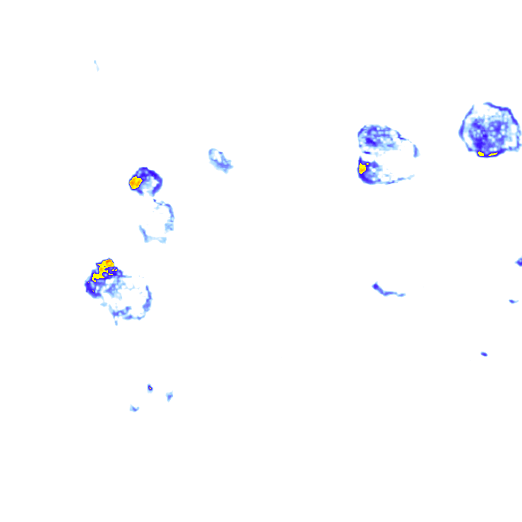 rainLayer