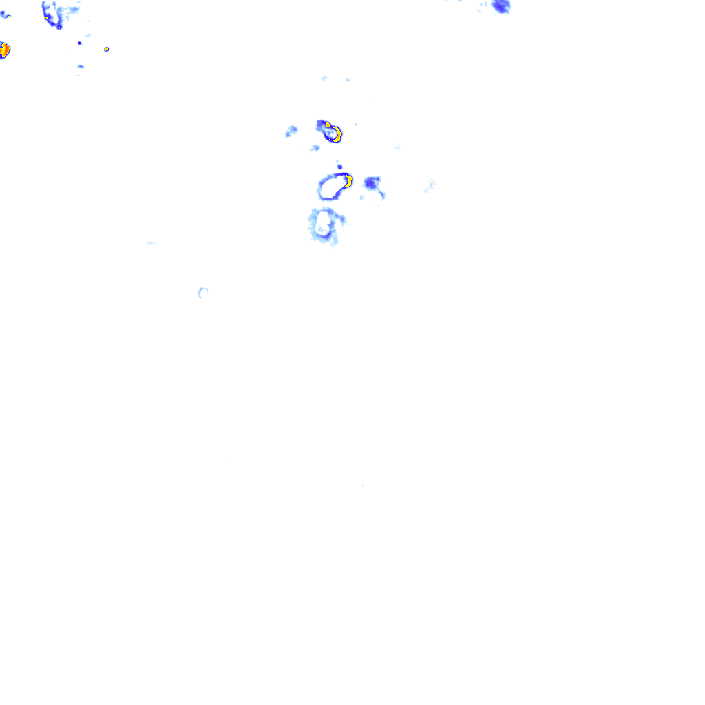 rainLayer