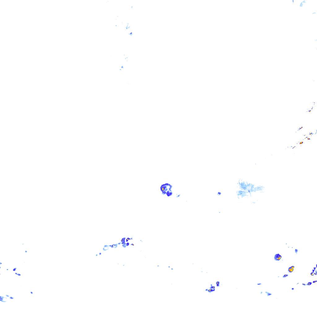 rainLayer