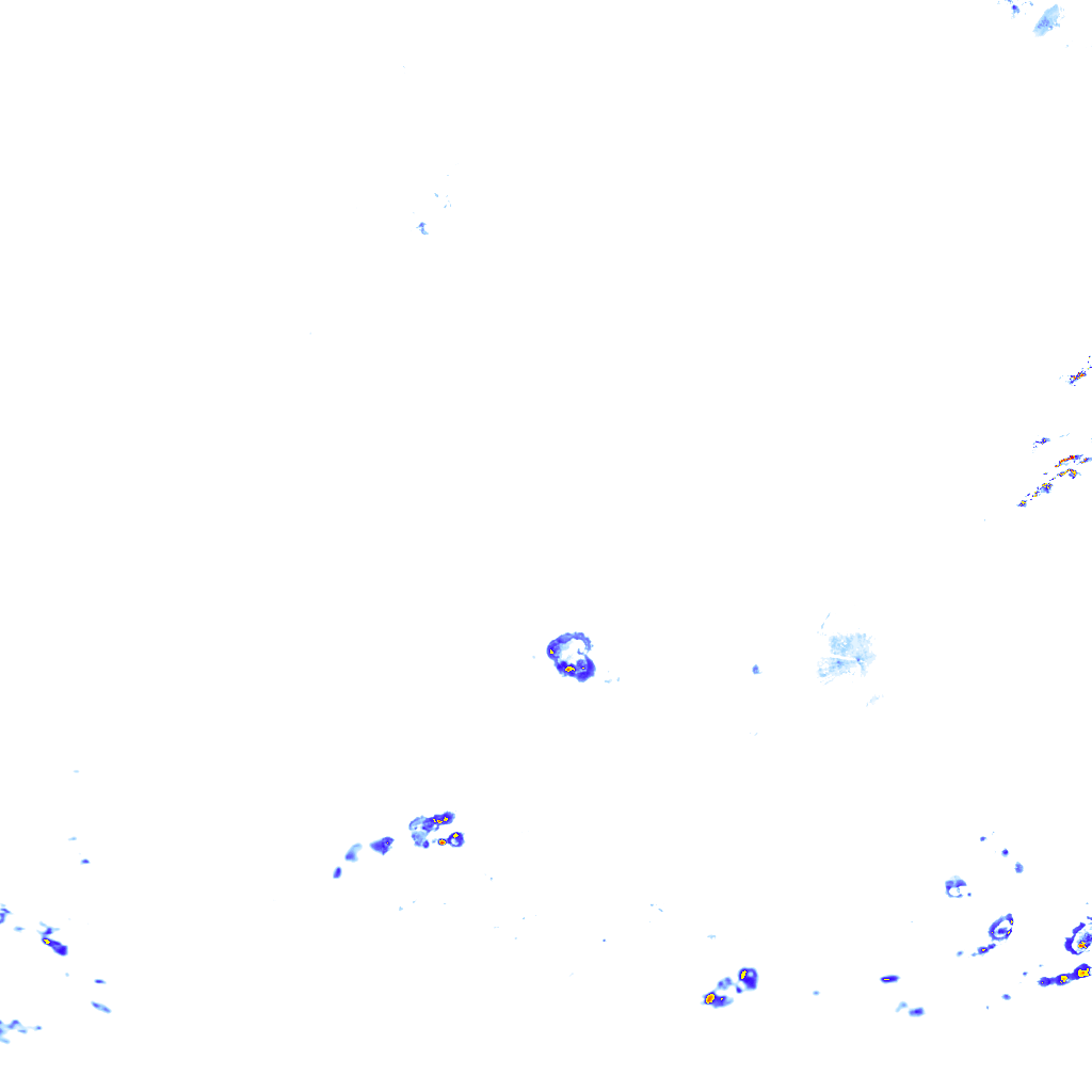 rainLayer