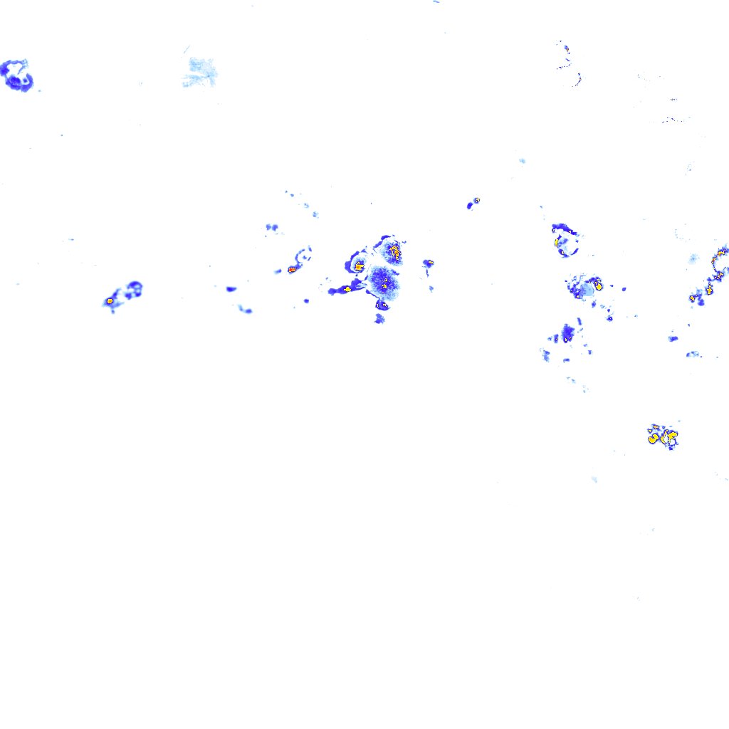 rainLayer