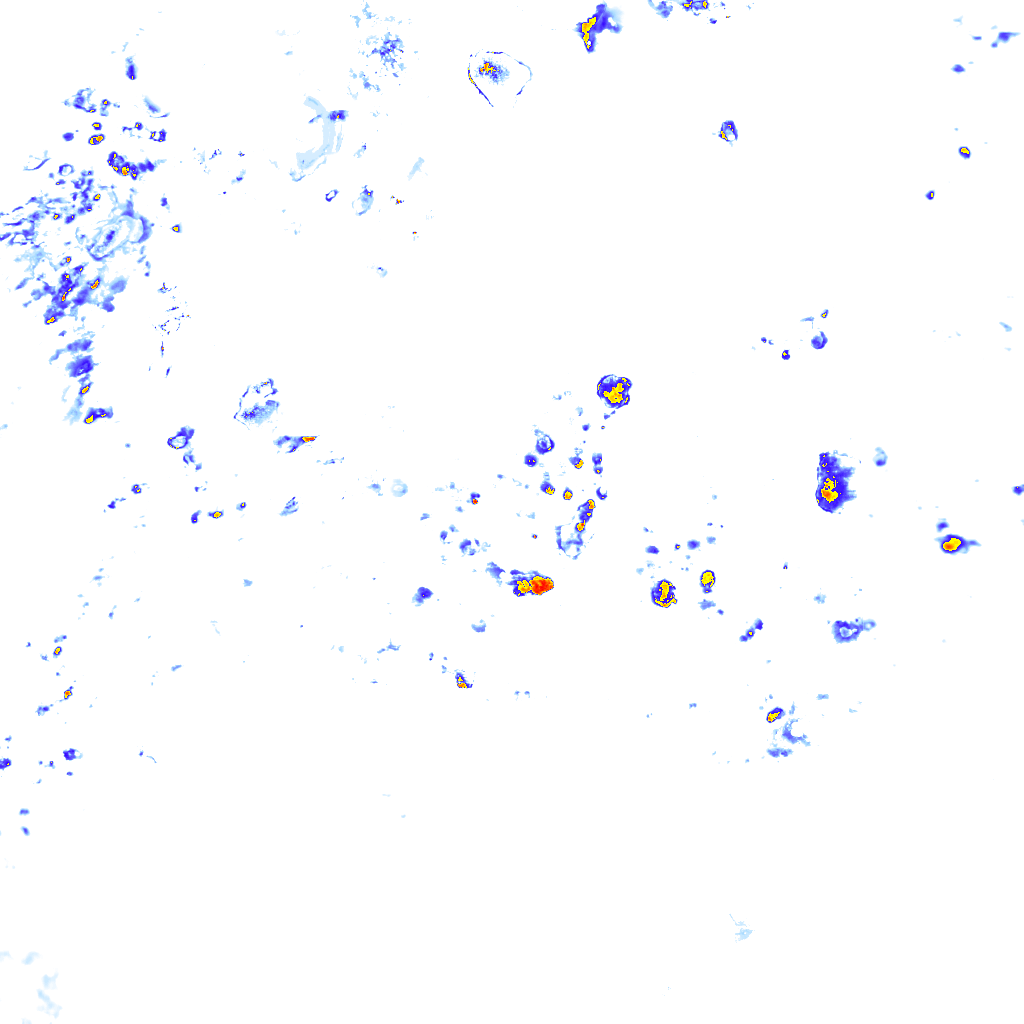 rainLayer