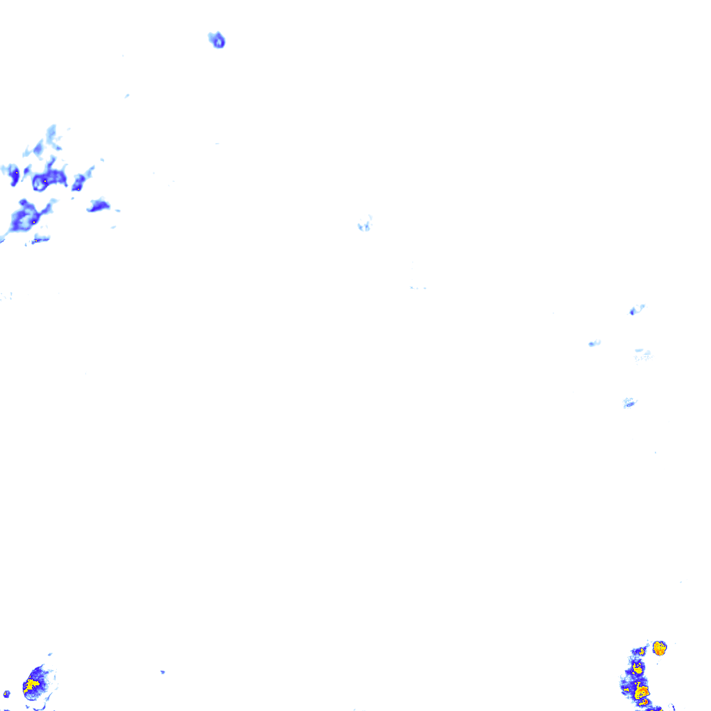 rainLayer