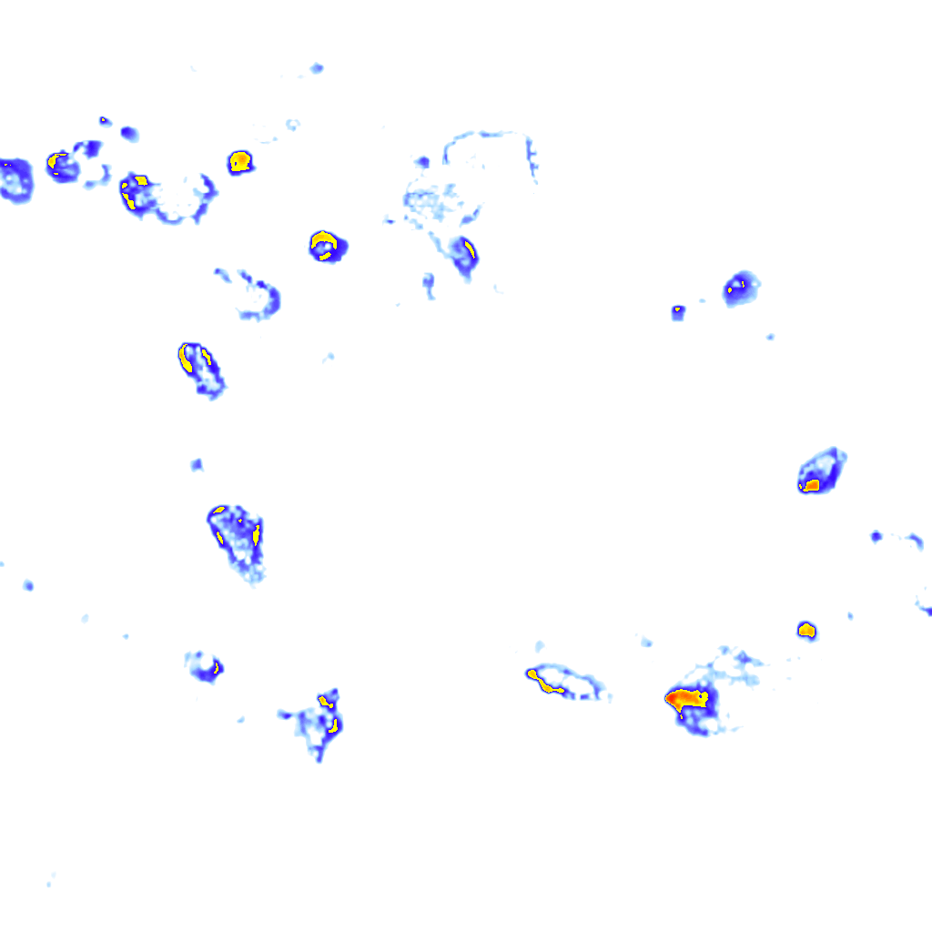 Image Layer