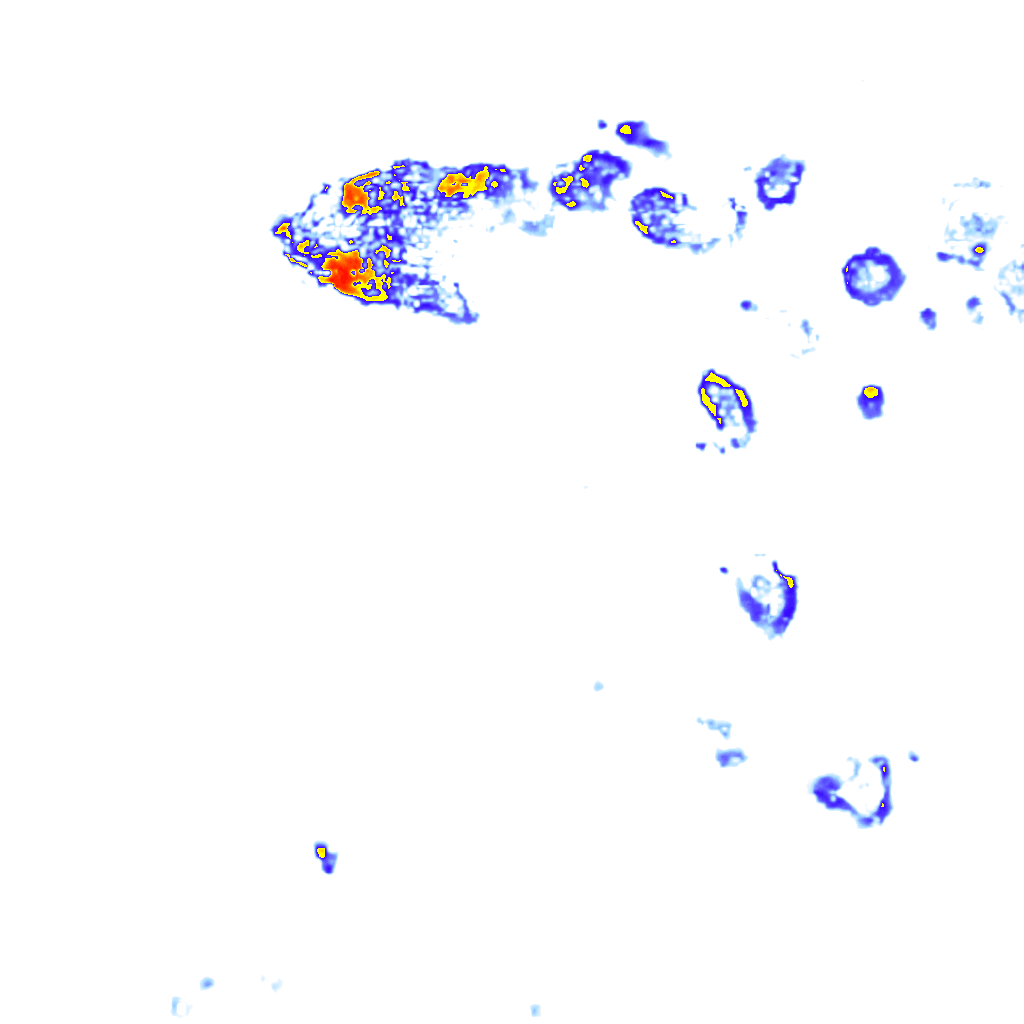rainLayer