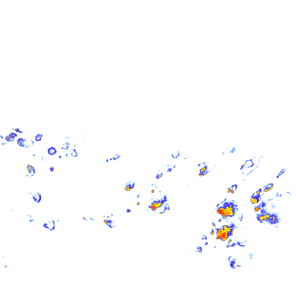 rainLayer