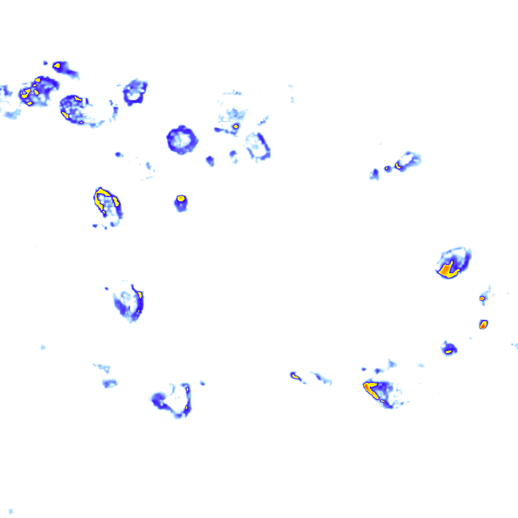 rainLayer