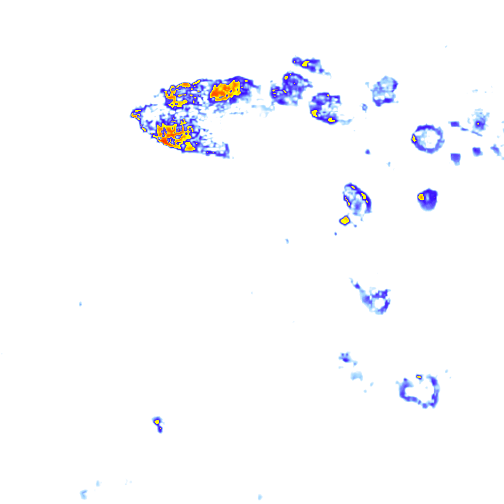 rainLayer