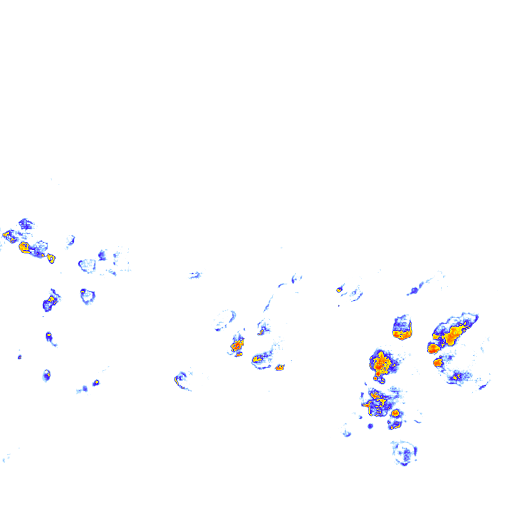 rainLayer