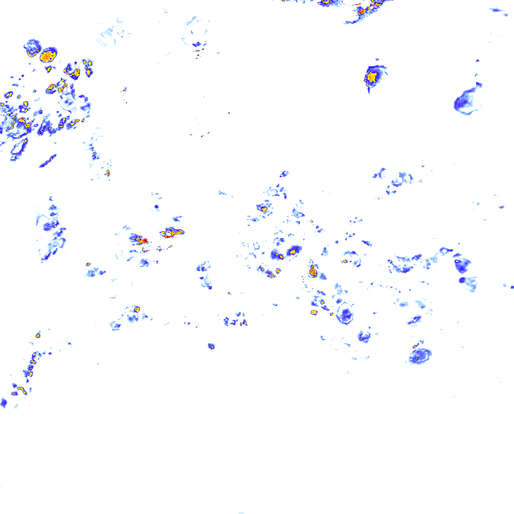 rainLayer