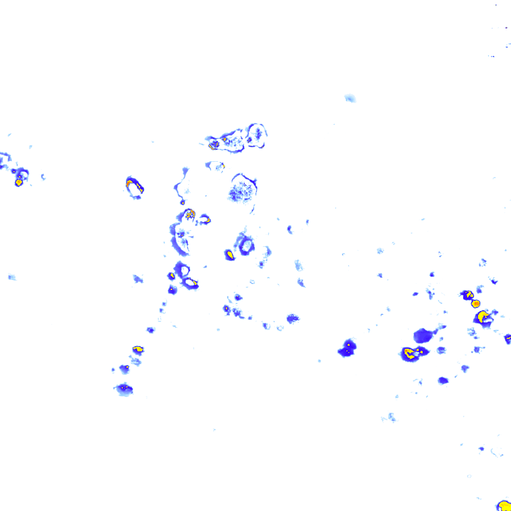 rainLayer