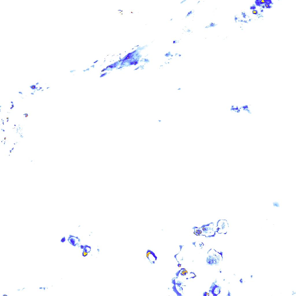 rainLayer