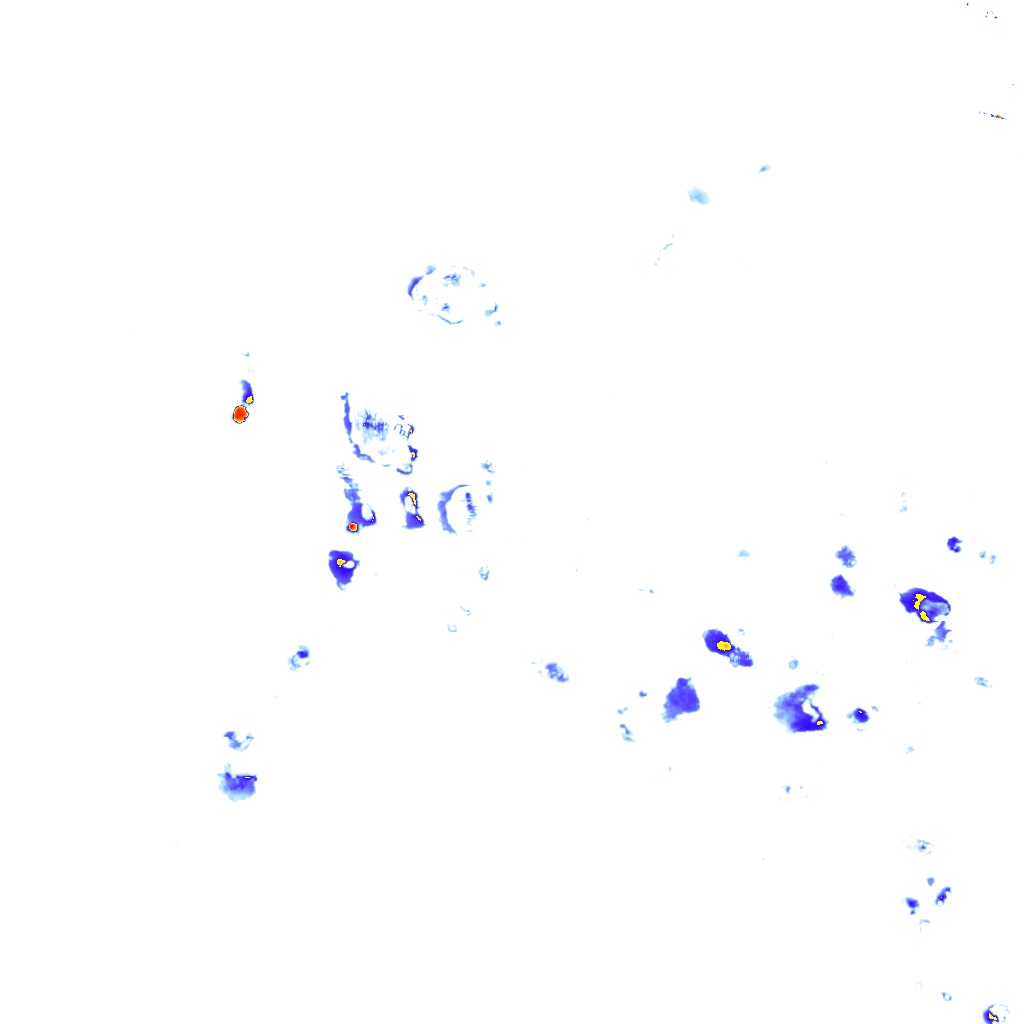 rainLayer