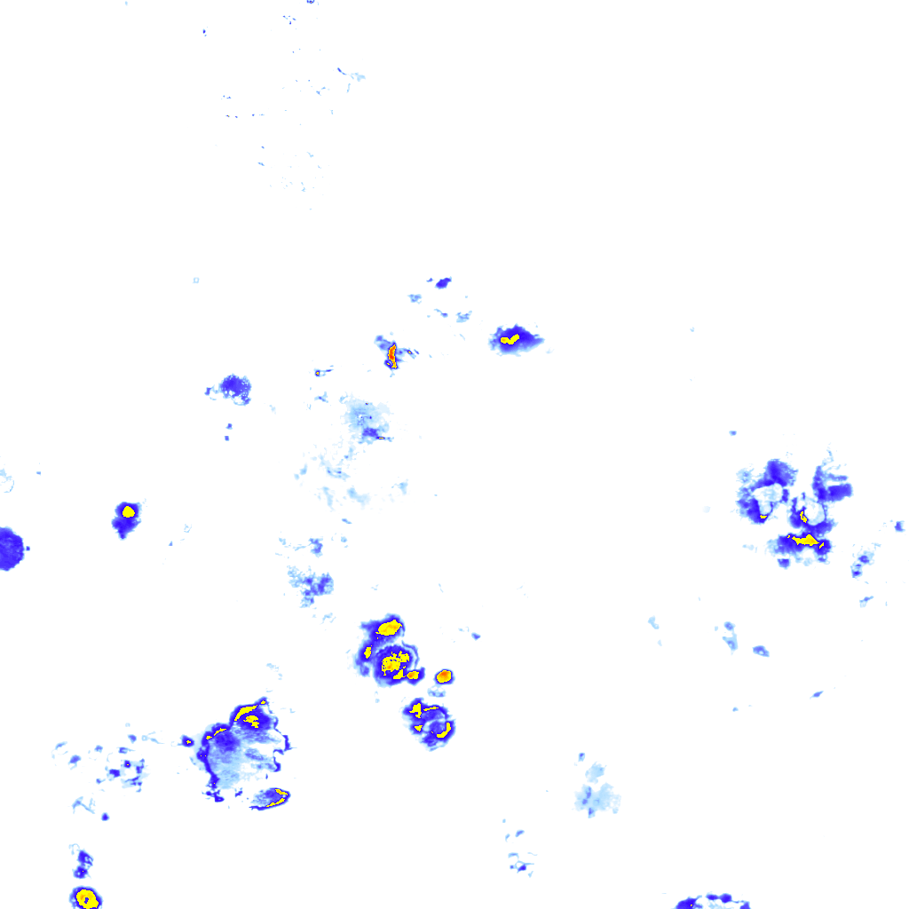 rainLayer